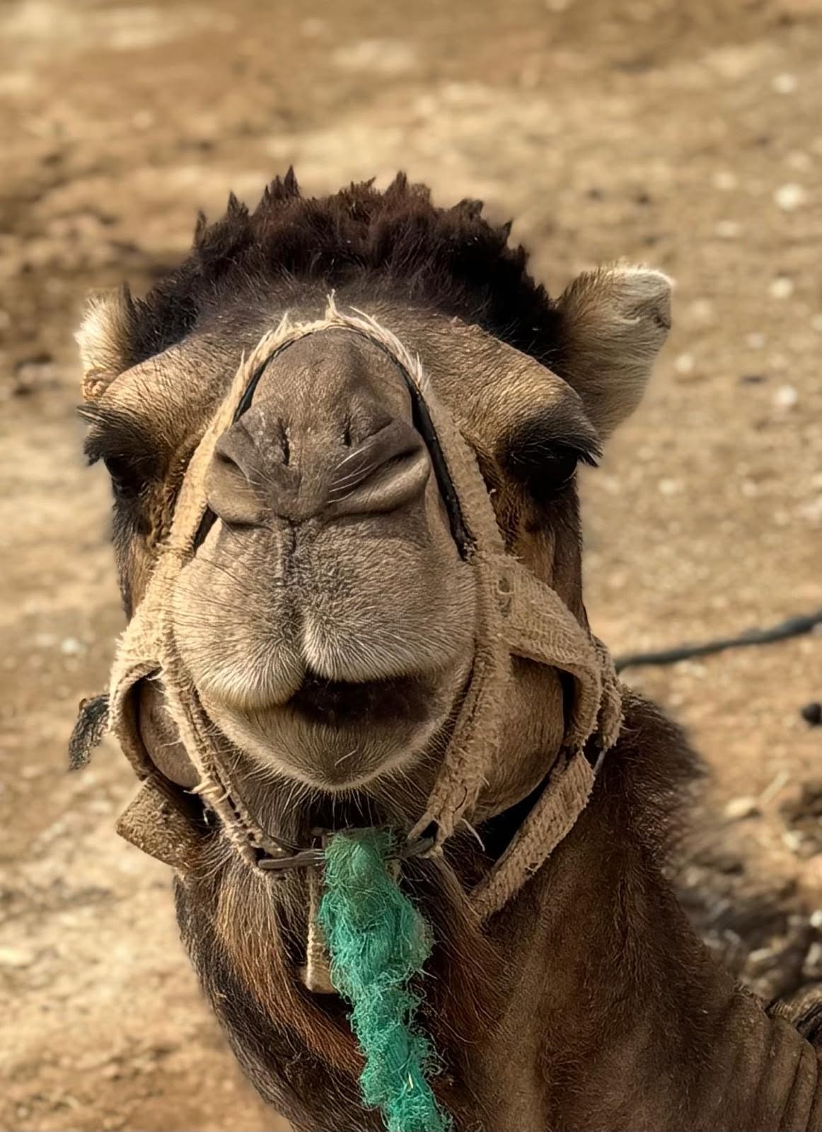 Slapen onder de sterren in de woestijn. — Uniek Makelaars, 20-jarig jubileum | Incentivereis naar Marrakech. — foto 9 van 10